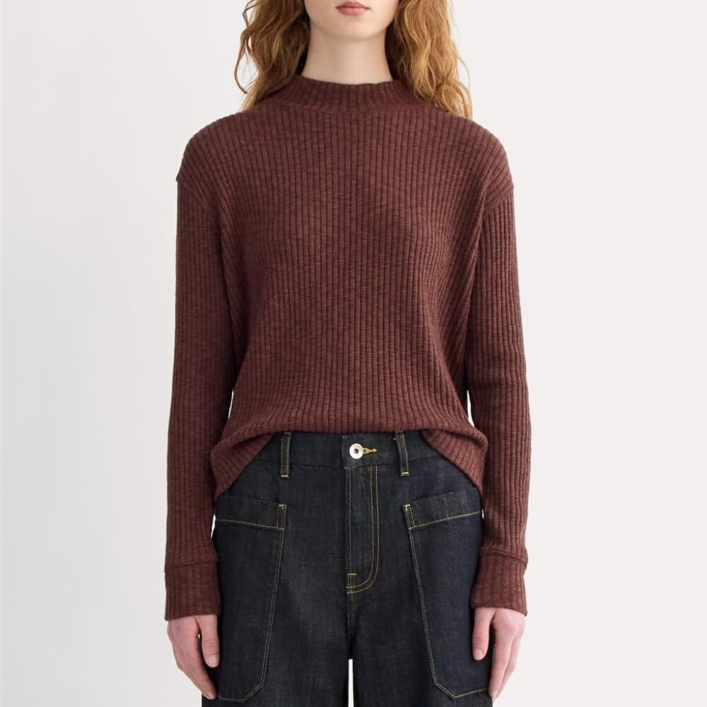 Everlane Cozy Rib Funnel-Neck in Dark Mahogany